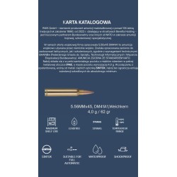 Amunicja RWS DM41A1 5,56x45 62gr / Opak. 30 sztuk
